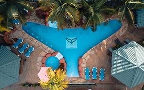 Bungalows Ballena